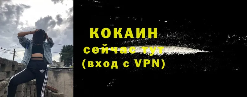 Cocaine Fish Scale  darknet формула  Нюрба 